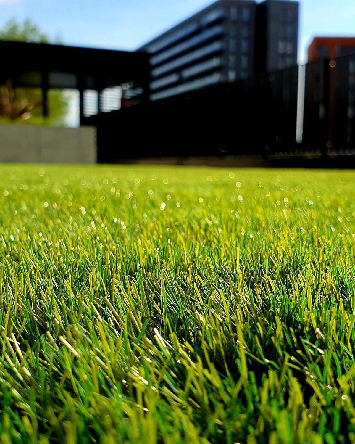 Landscaping